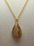 Picture Jasper with black markings